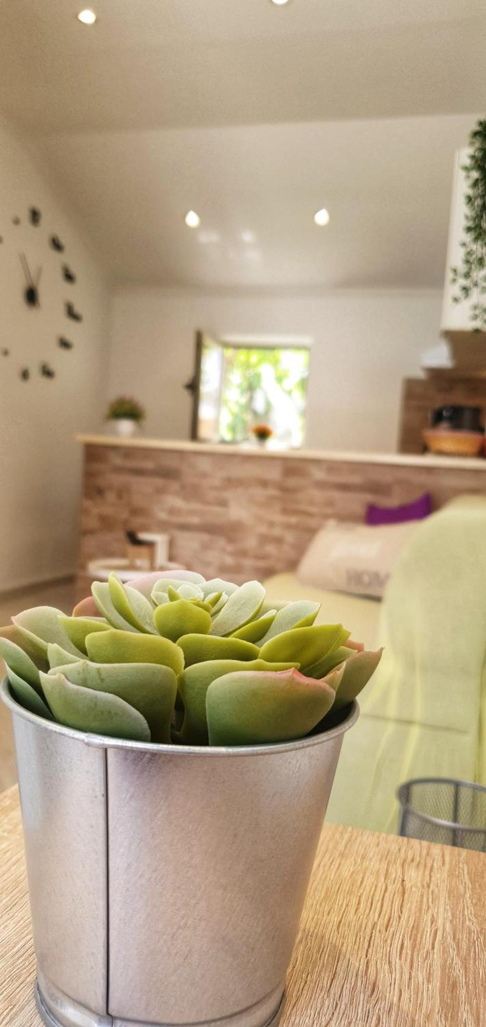 Apartments Marija Vukas Dubrovnik Cameră foto